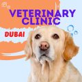 Veterinary Clinic in Dubai