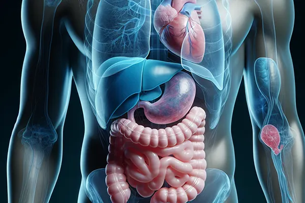 Fatty liver disease consultation in Bangladesh
